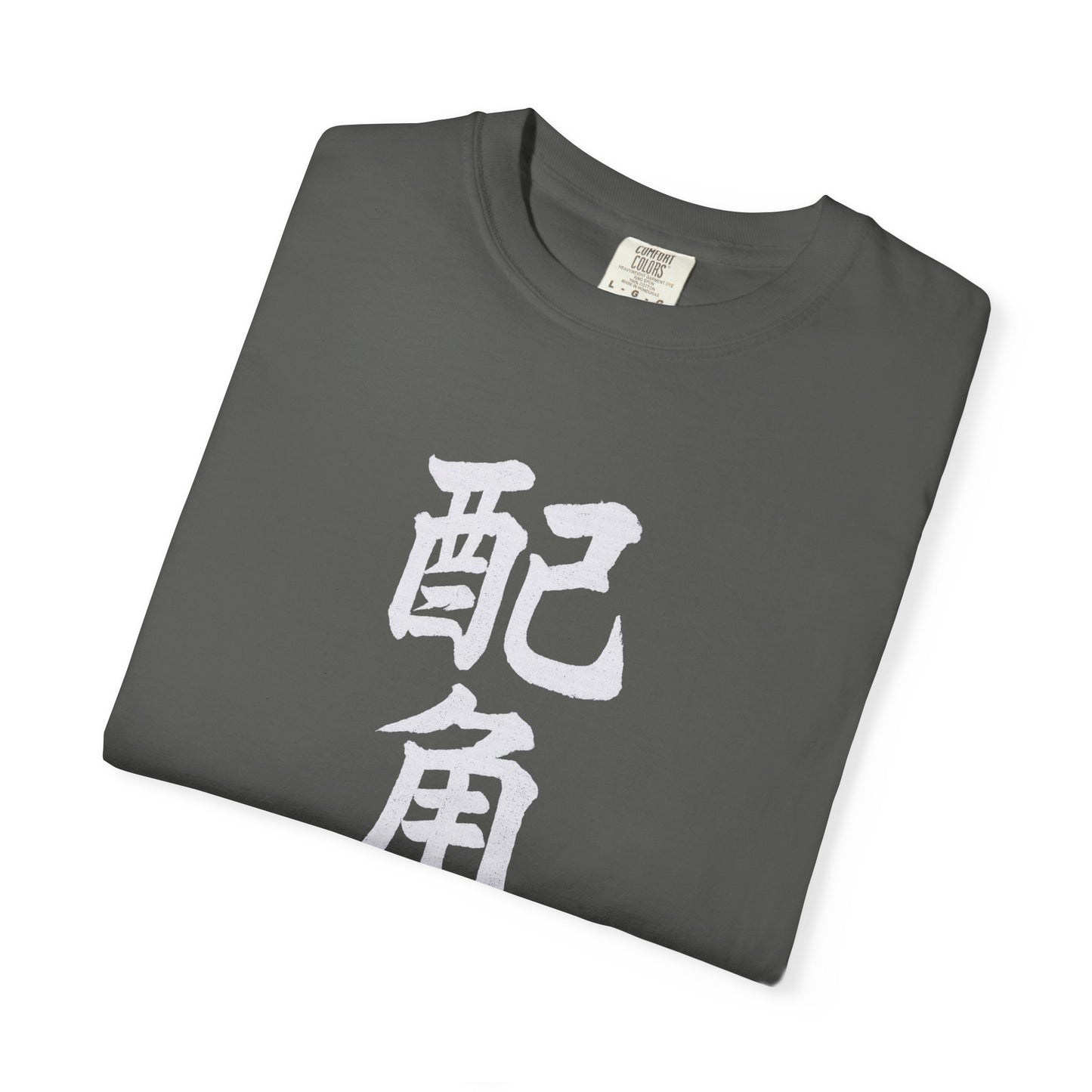 Side Character | Fang Yuan | Reverend Insanity inspired T-Shirt